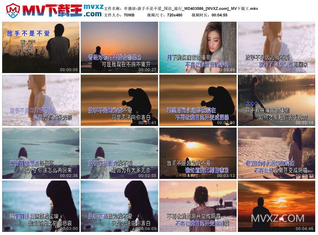 牟德冰-放手不是不爱_国语_流行_MD403586
